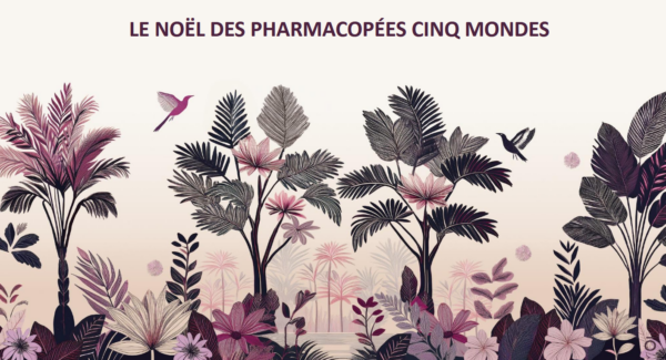 Calendrier de l'Avent Cinq Mondes – Image 3